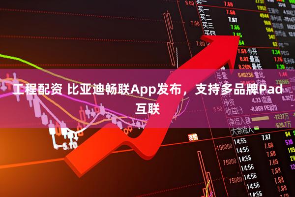 工程配资 比亚迪畅联App发布，支持多品牌Pad互联